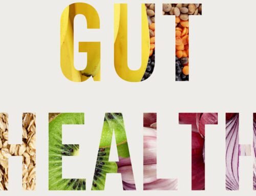 GUT HEALTH