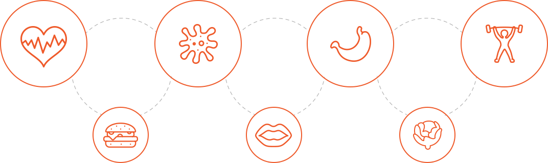 Illustration-micronutrien-test
