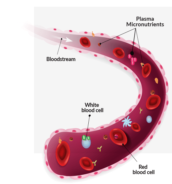 extracellular-graph